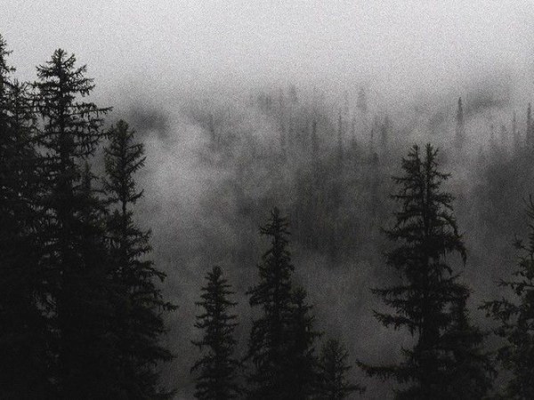 There’s Still Color